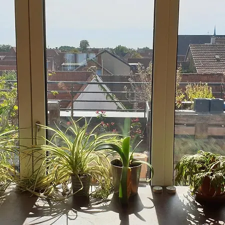 Studio Uber Den Dachern Der Stadt